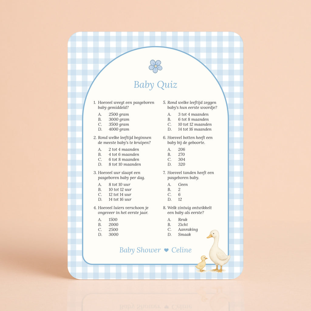 Baby Quiz kaart in gingham blauw met gansje, gepersonaliseerd met naam, Studio Miron