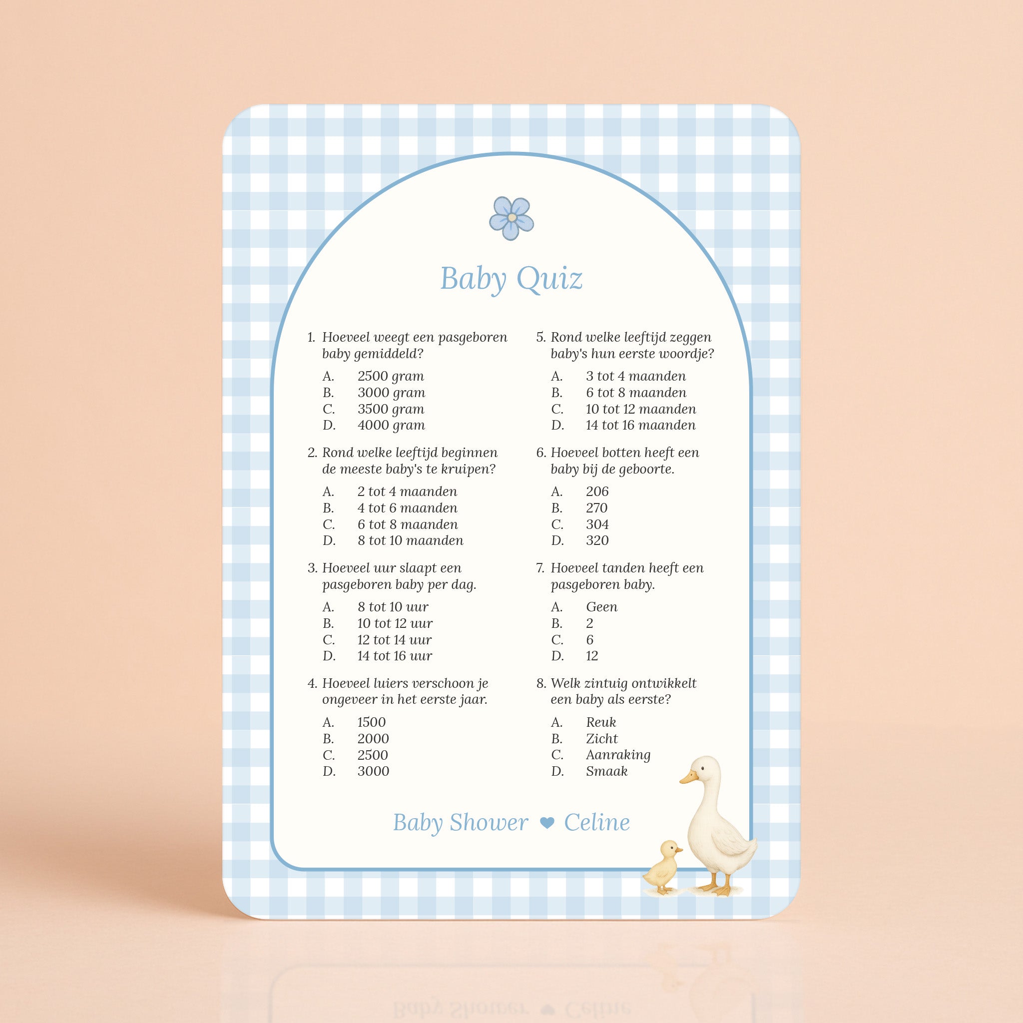 Baby Quiz kaart in gingham blauw met gansje, gepersonaliseerd met naam, Studio Miron