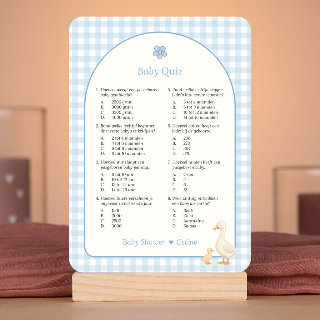 Baby Quiz kaart in gingham blauw met gansje in sfeervolle babyshower setting met decoratie, Studio Miron