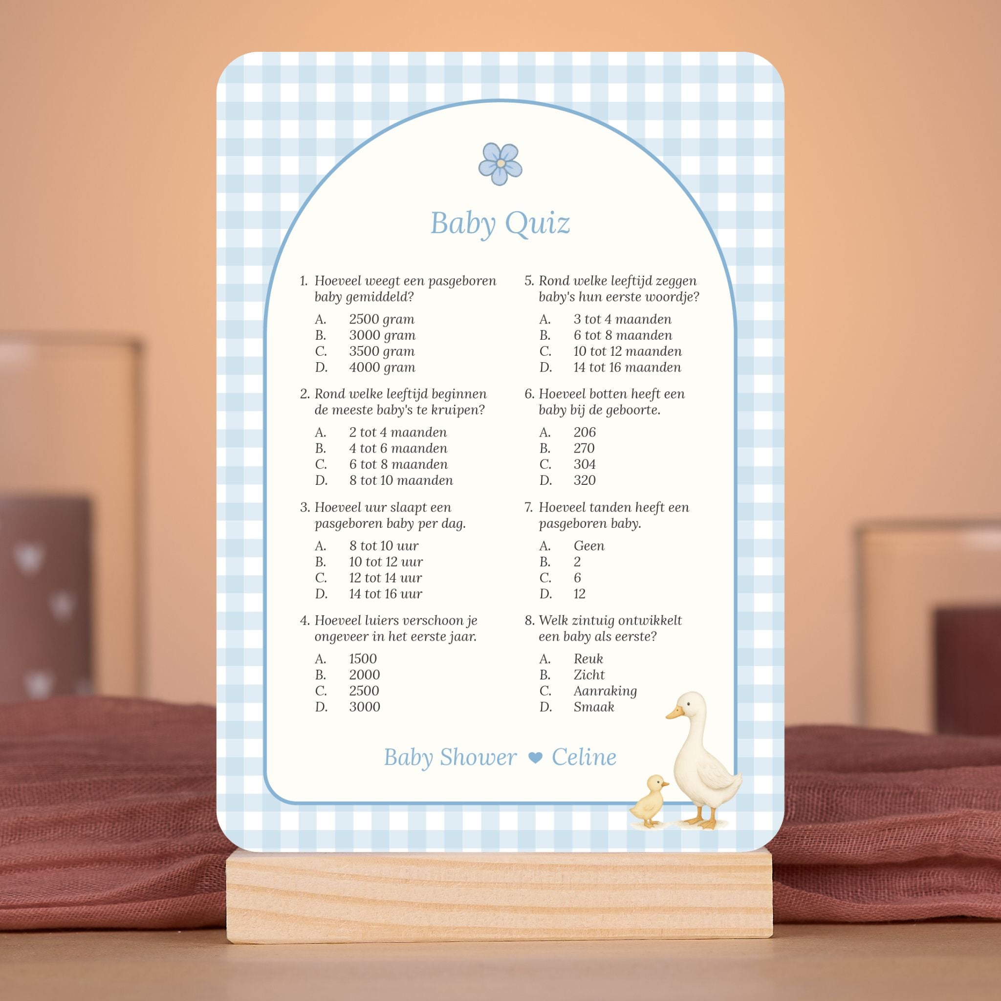 Baby Quiz kaart in gingham blauw met gansje in sfeervolle babyshower setting met decoratie, Studio Miron