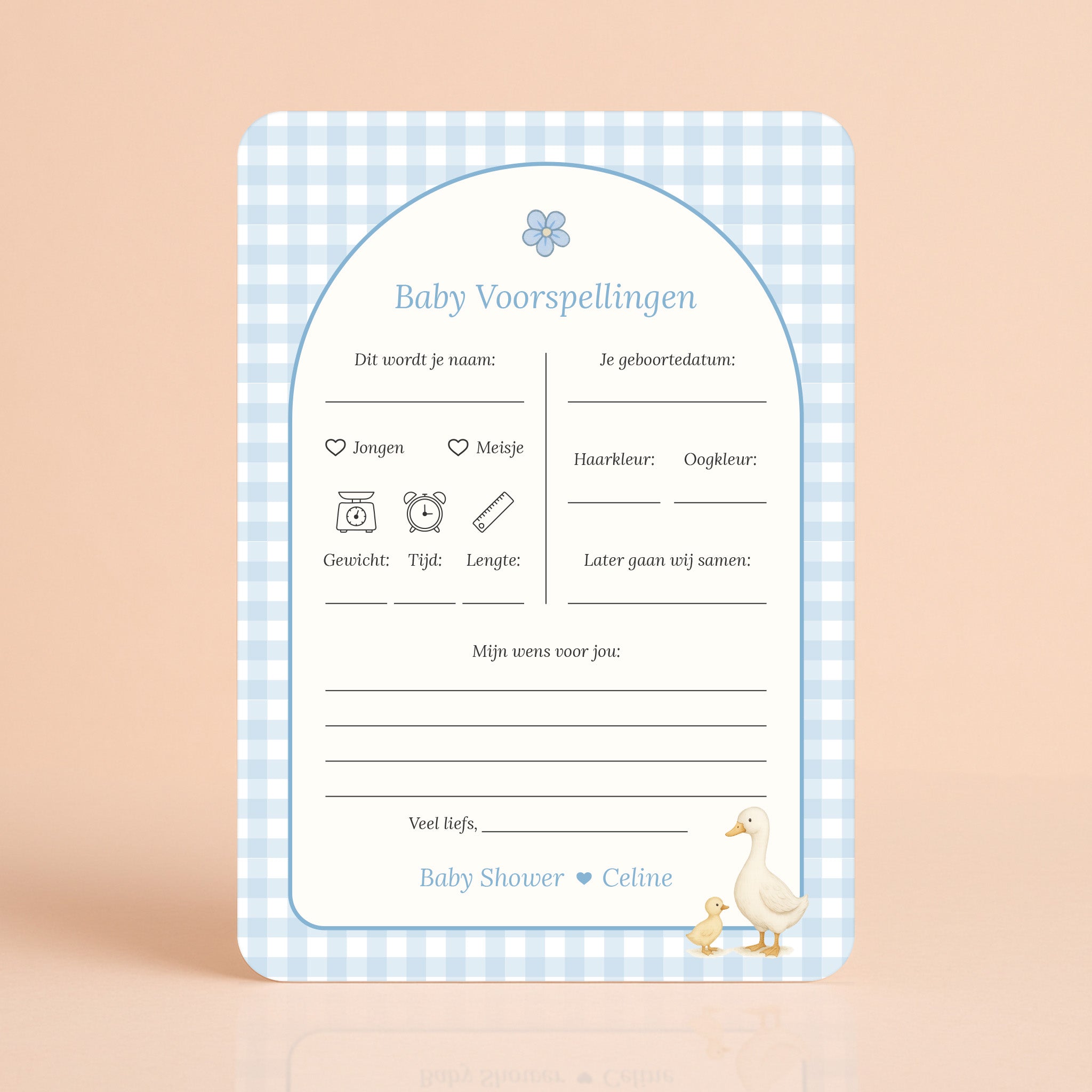 Baby Voorspellingen kaart in gingham blauw met gansje in lichtblauwe tinten, gepersonaliseerd met naam – Studio Miron