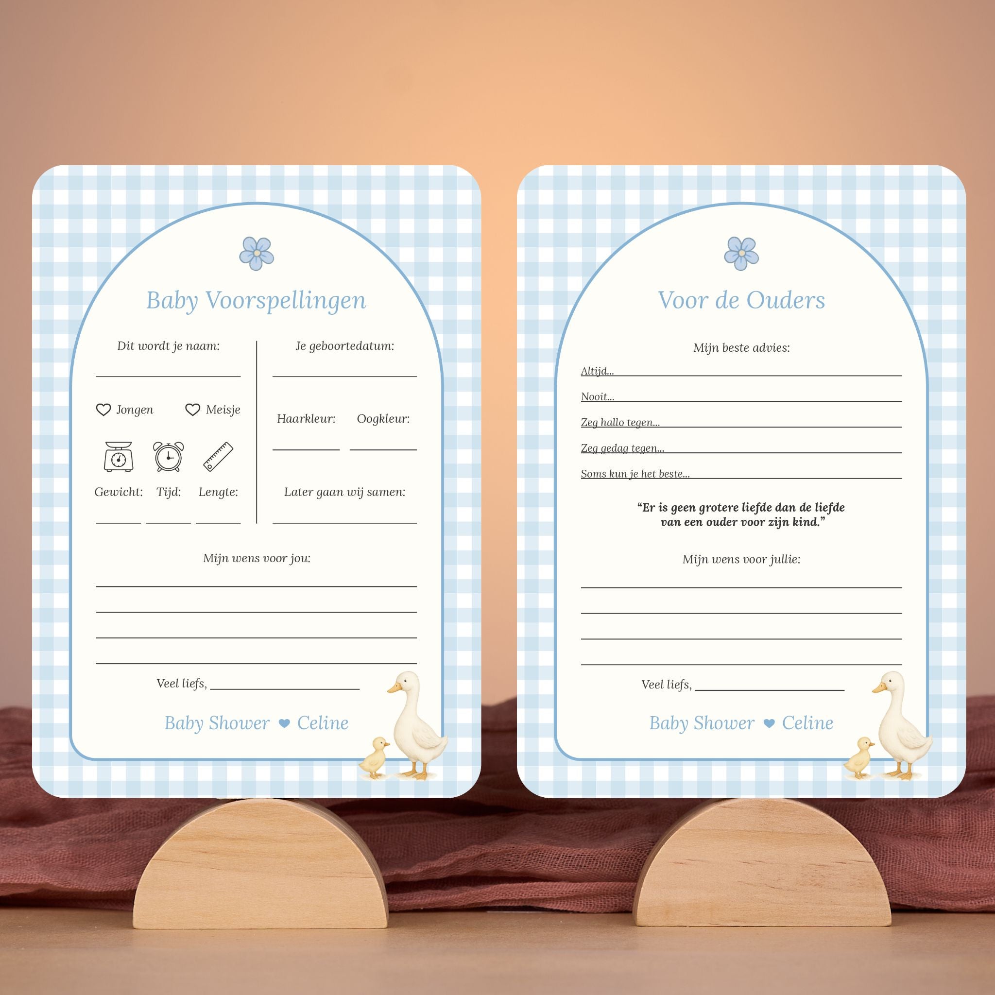 Baby Voorspellingen en Voor de Ouders set in gingham blauw met gansje in sfeervolle babyshower setting met decoratie, Studio Miron
