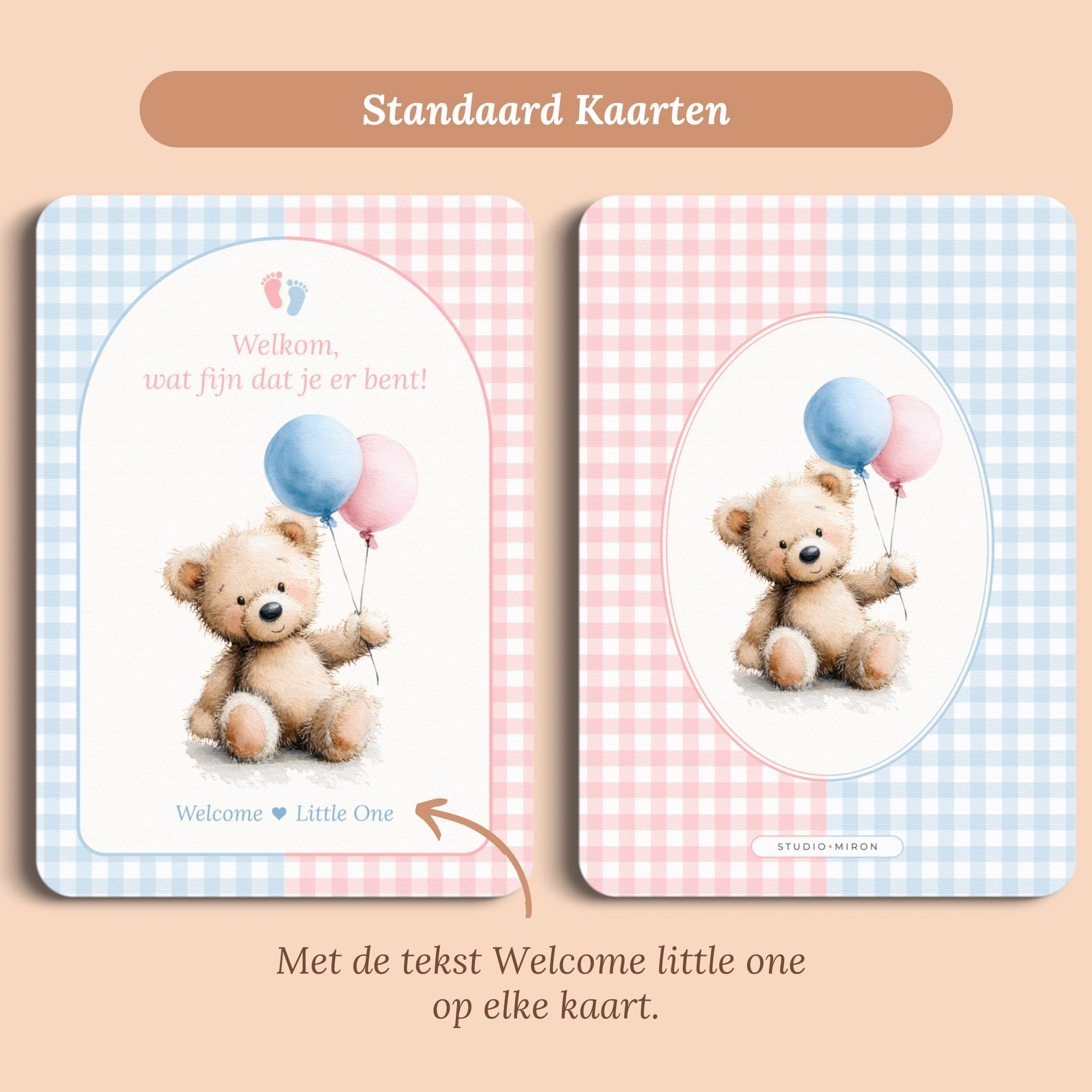 Mini Welkomstbord A6 - Naamkaart | Gingham Roze-Blauw