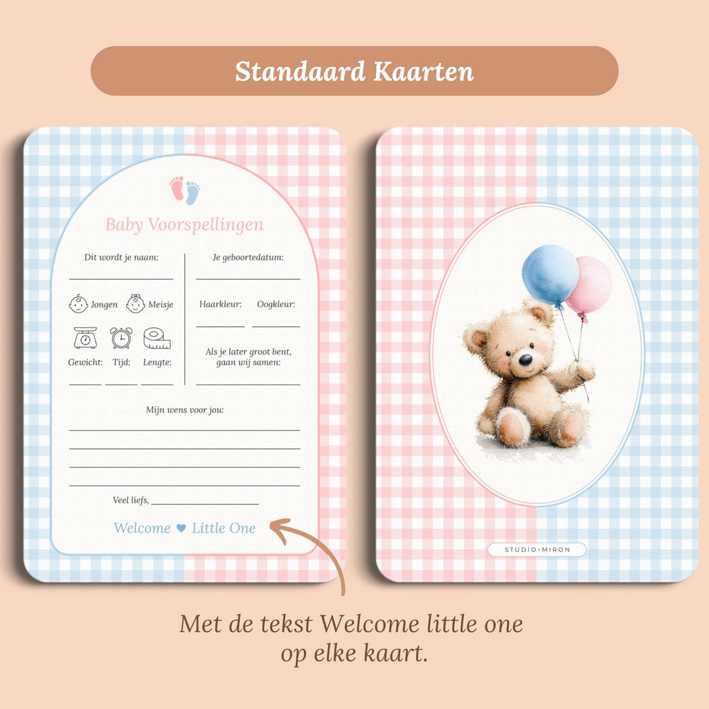 Babyshower invulkaarten baby voorspellingen gingham roze blauw standaard voor en achter Studio Miron