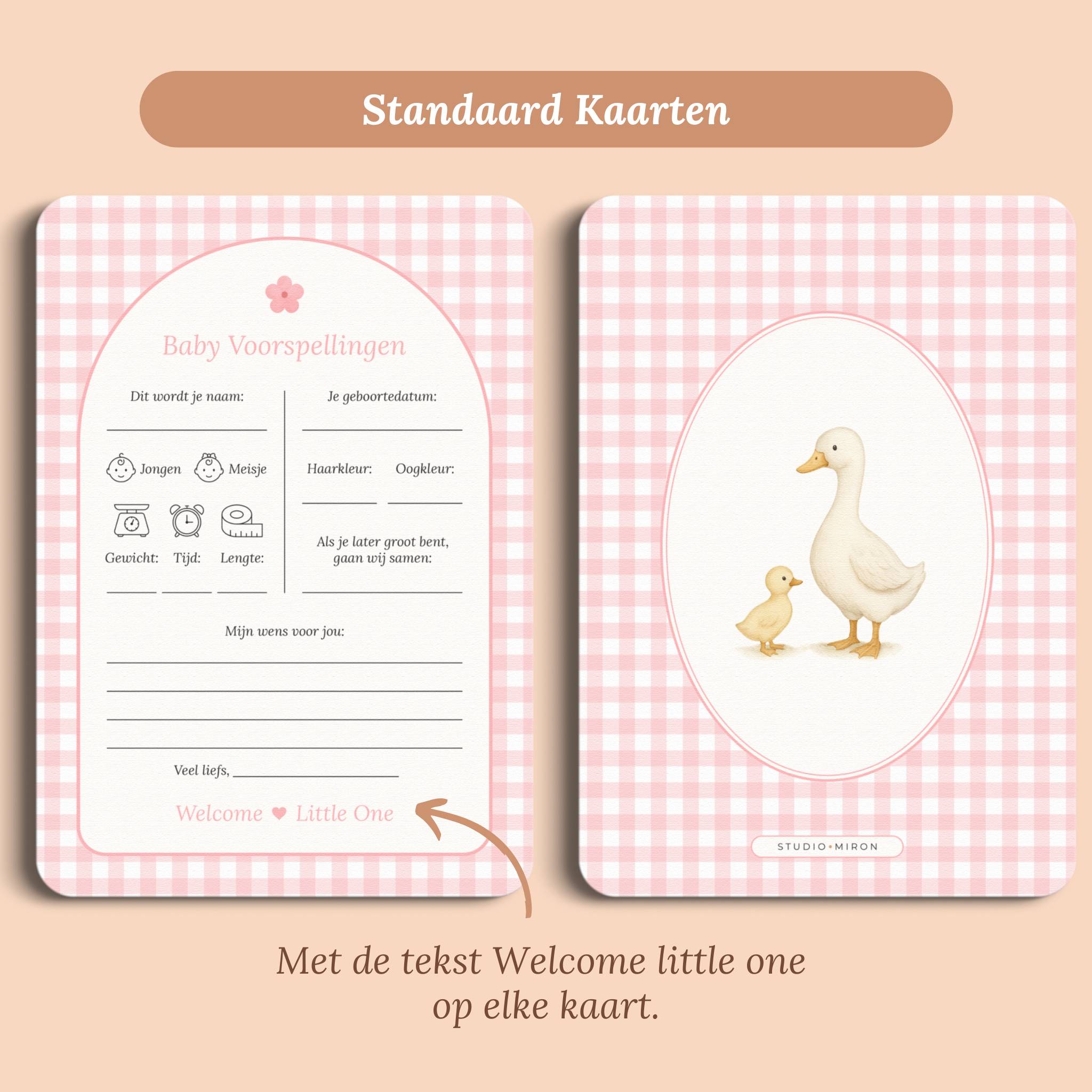 Baby Voorspellingen | Gingham Roze