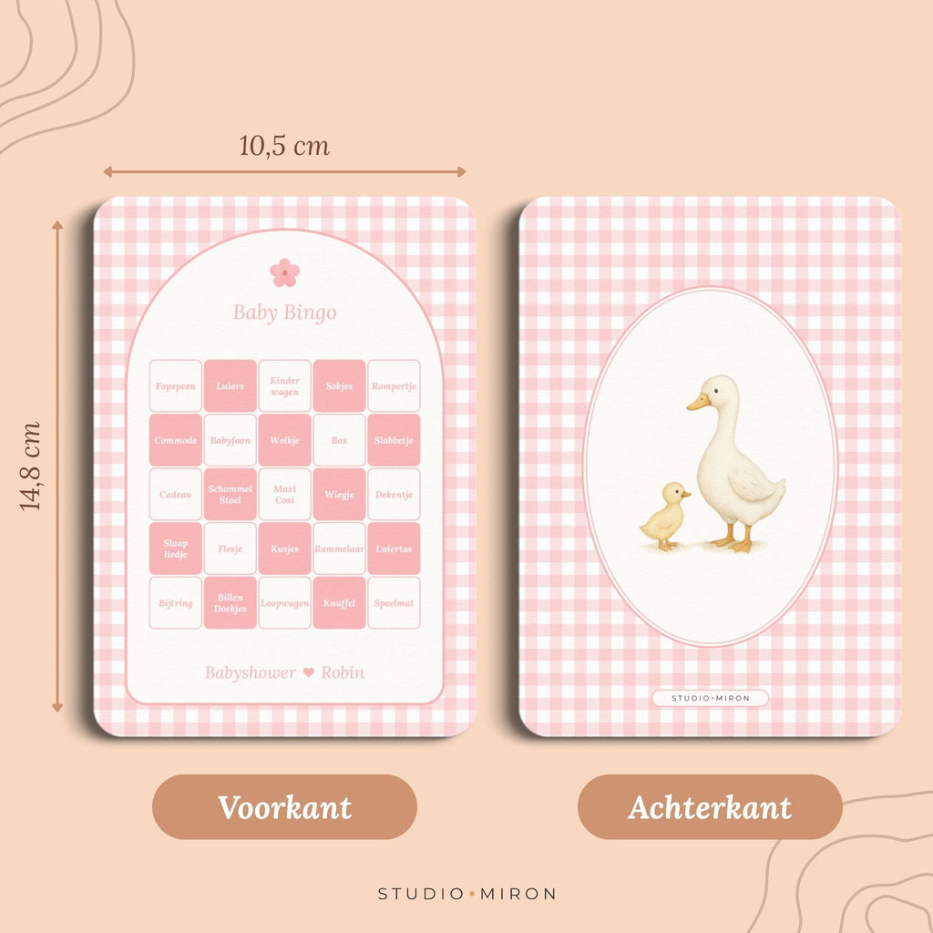 Baby Bingo | Gingham Roze