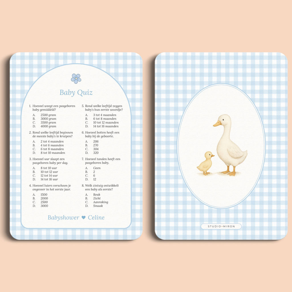 Babyshower spelletjes baby quiz gingham blauw voor en achter Studio Miron