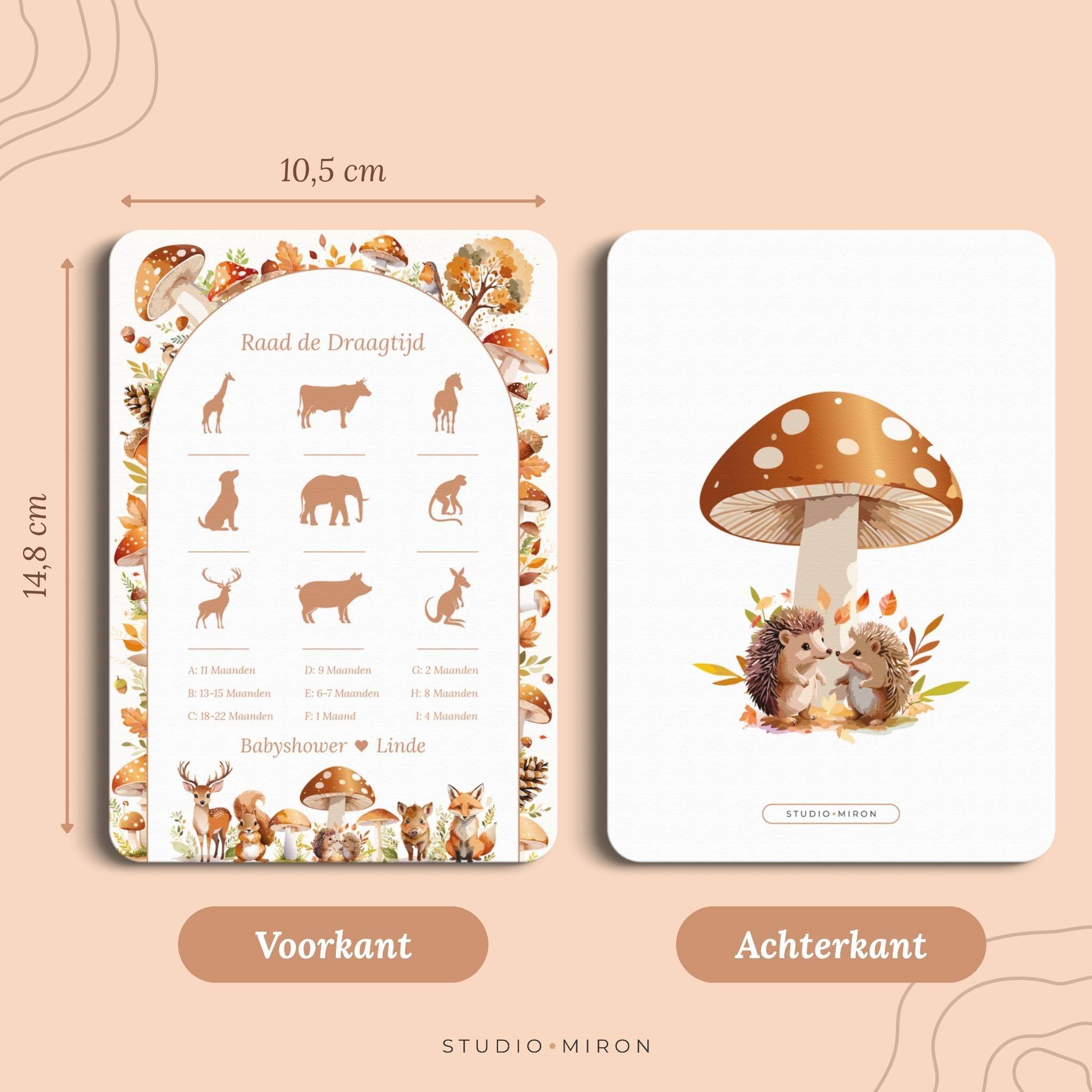 Raad de Draagtijd | Bosdieren