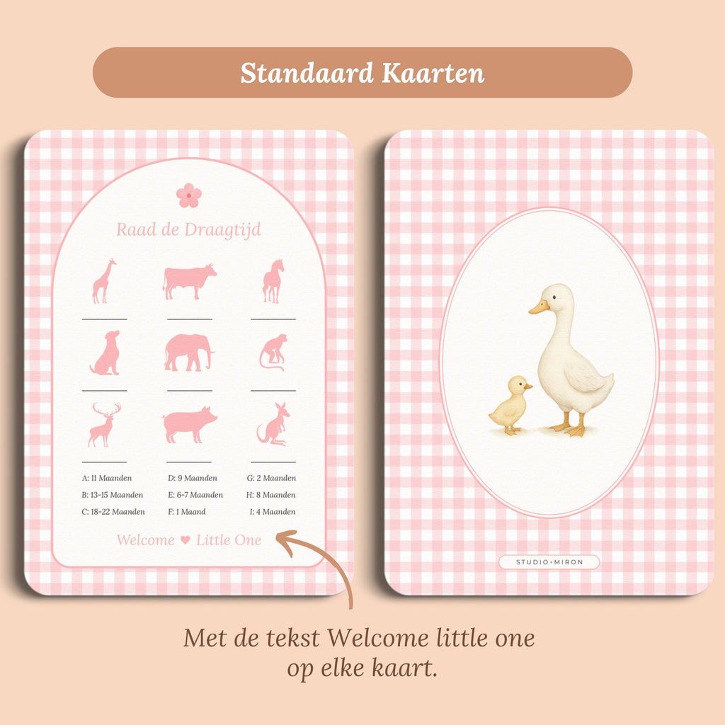 Babyshower spelletjes raad de draagtijd gingham roze standaard voor en achter Studio Miron